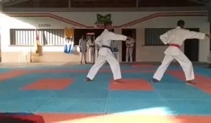 CIDADE DE QUELIMANE ACOLHE ABERTURA DO CAMPEONATO PROVINCIAL