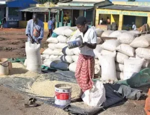 APENAS 132 PROPOSTAS SELECIONADAS DE UM TOTAL DE 1.081 EM NAMARRÓI