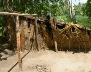 IDOSO DE 80 ANOS VIVE EM SITUAÇÃO DE ABANDONO E CARÊNCIA EXTREMA